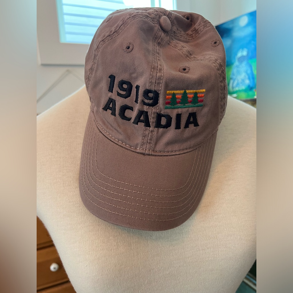 Nwot Acadia Baseball Cap